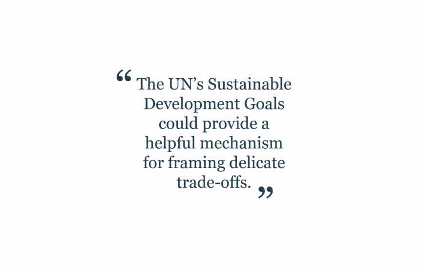 Article quote: "The UN's Sustainable Development Goals could provide a helpful mechanism for framing delicate trade-offs"