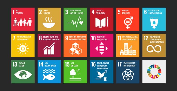 The UN's Sustainable Development Goals